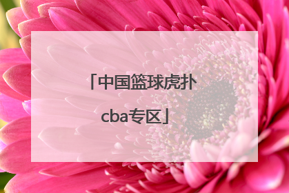 「中国篮球虎扑cba专区」虎扑篮球nba勇士专区