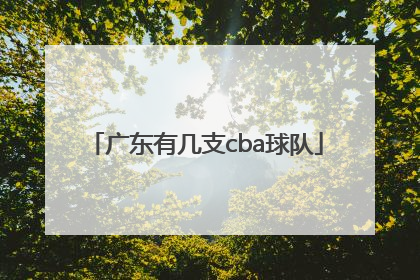 「广东有几支cba球队」cba广东拿了几次总冠军