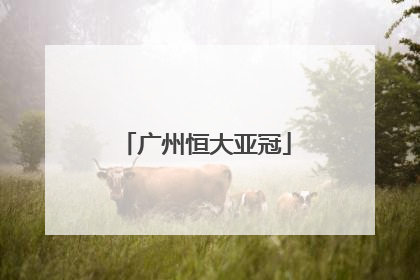 「广州恒大亚冠」广州恒大亚冠联赛2021赛程表