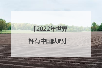 「2022年世界杯有中国队吗」2022年世界杯中国队赛程