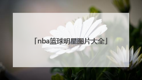 「nba篮球明星图片大全」nba篮球明星标志图片大全